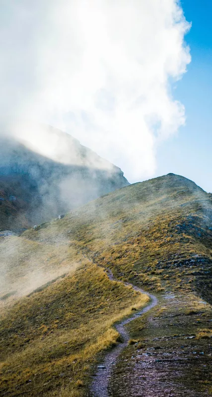 Hintergrundbild Das Mutige