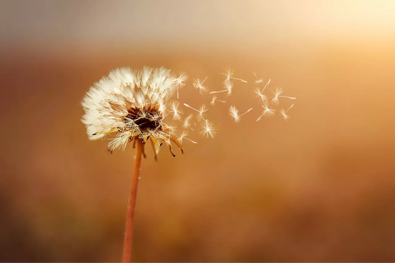 Mutiger Gleitschirmflieger in den Bergen