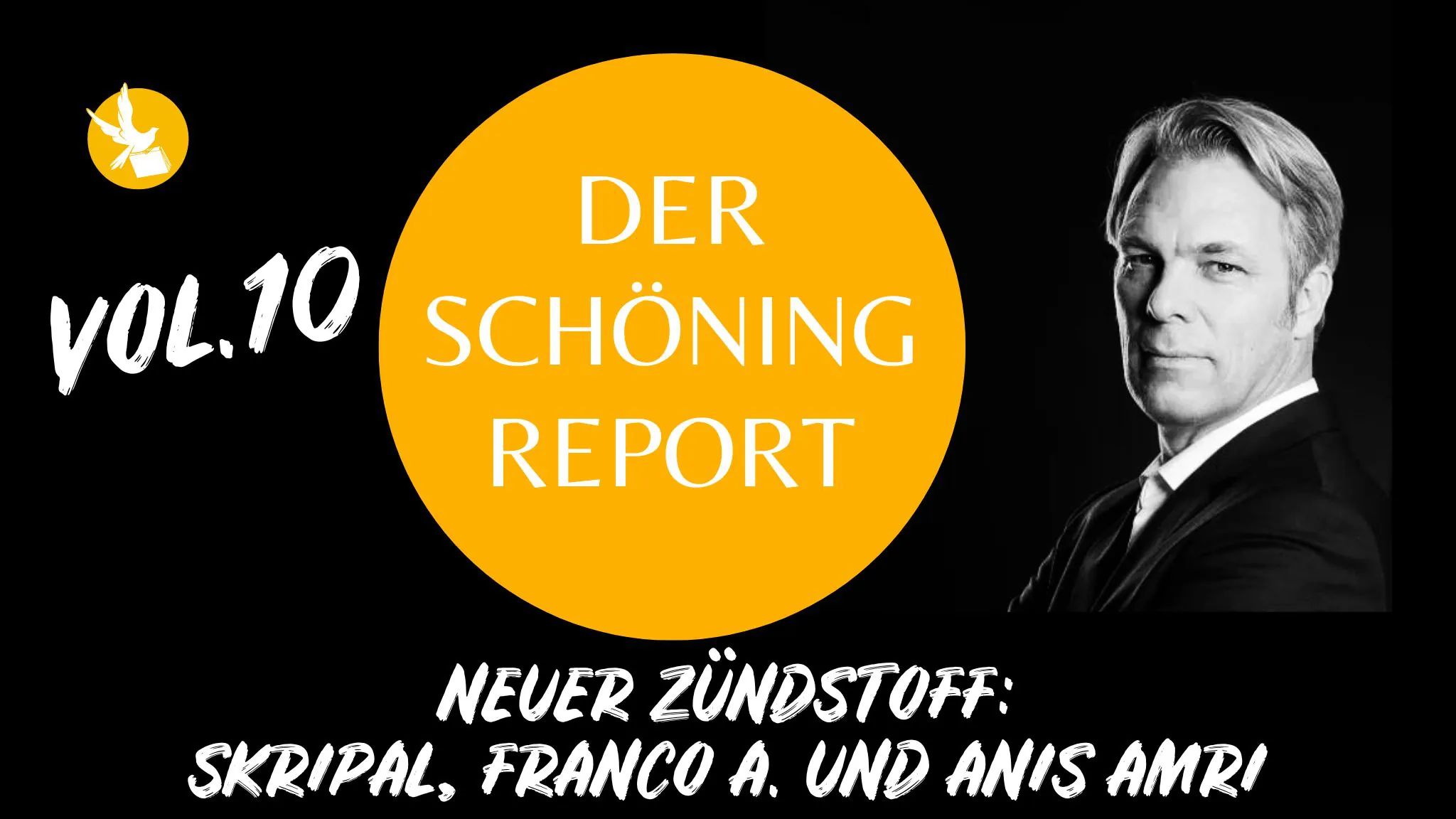 Poster für Der Schöning Report Vol. 10