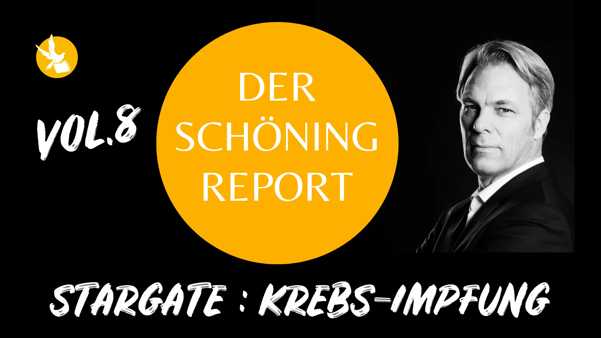 Poster für Der Schöning Report Vol. 8