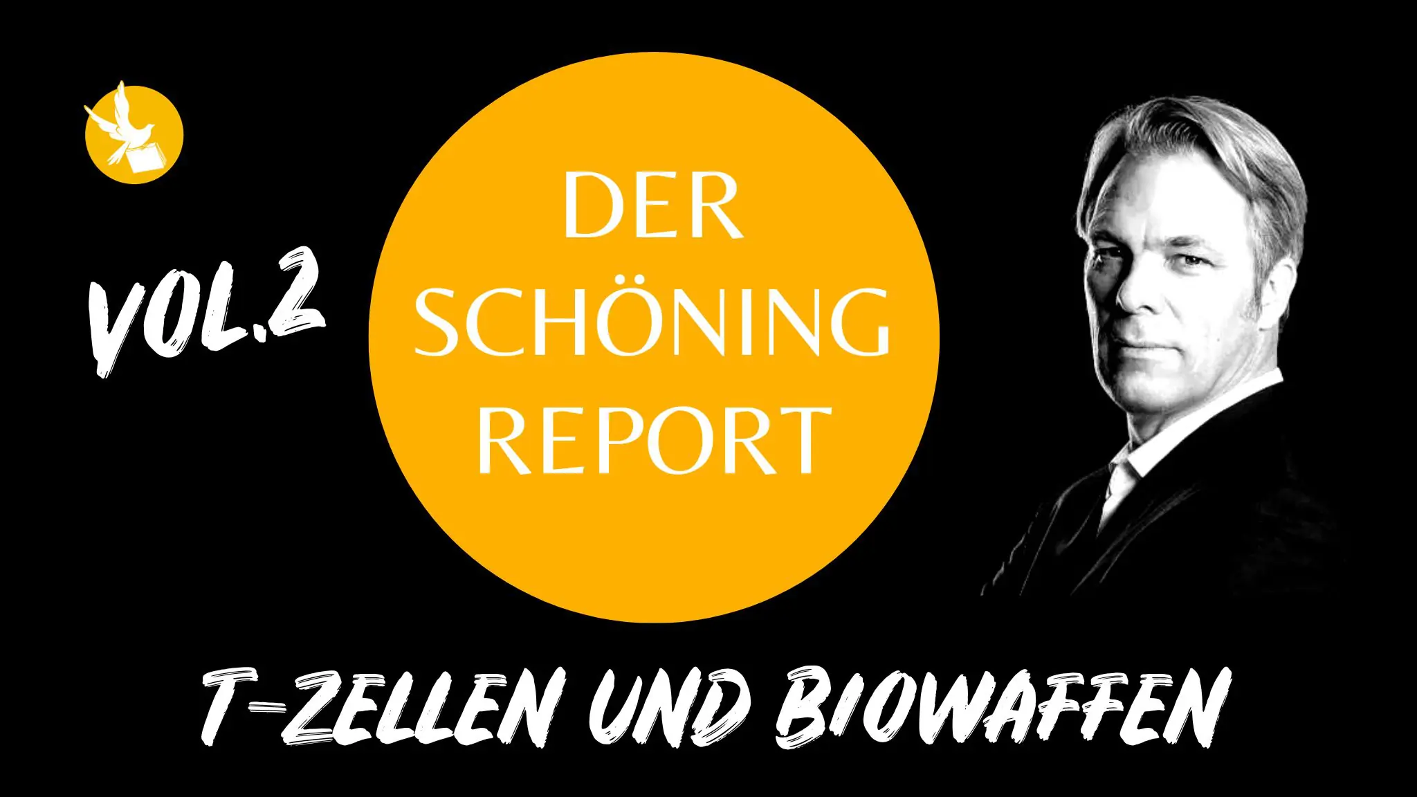 Poster für Der Schöning Report Vol. 2