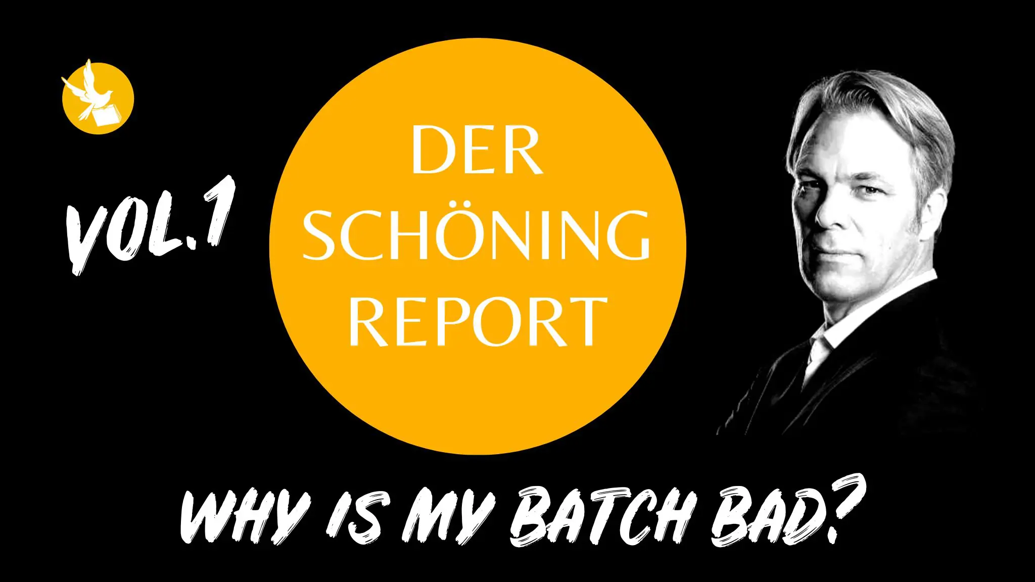Poster für Der Schöning Report Vol. 1