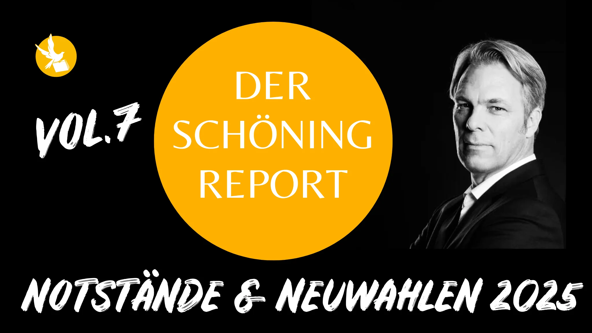 Poster für Der Schöning Report Vol. 7